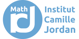 Institut Camille Jordan (for 13 months)